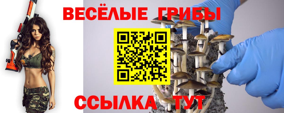 Коряжма  Галлюциногенные грибы GOLDEN TEACHER  Вход с VPN 