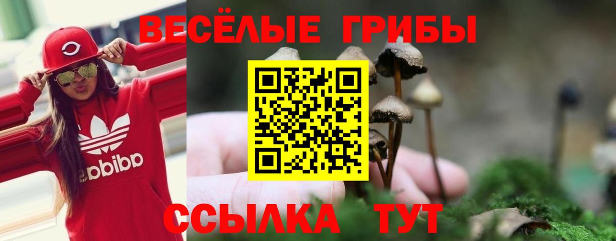 Галлюциногенные грибы ЛСД Коряжма